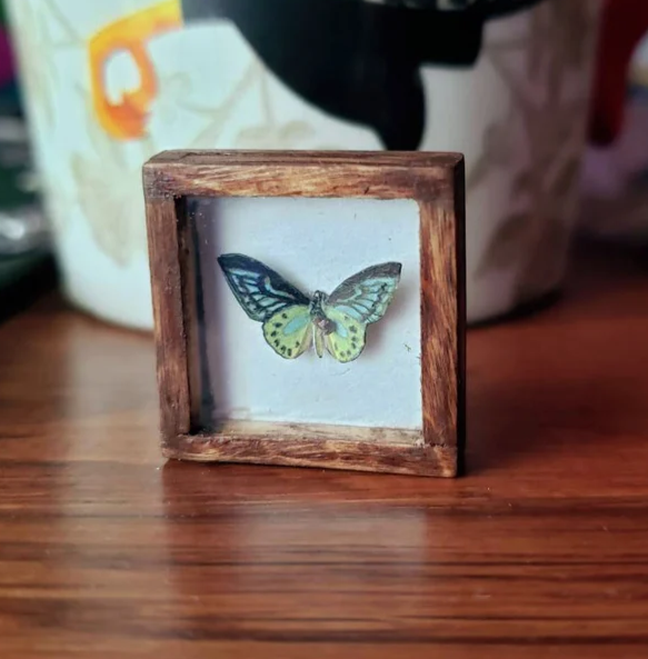 Miniature Shadowbox Pin